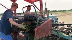 Rolling Sod