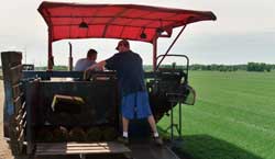 Stacking Sod on Lake Elmo Sod Farm